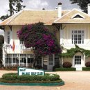 팔레스 레스토랑 이미지