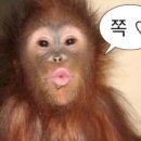 이구동성 로스터리카페 네이버블로그