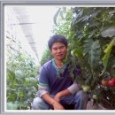 초막농장 이미지