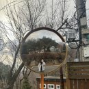 가리산길 | 251130 가리산 등산.. 운동 많이 된다 | 홍천 가리산 등산코스, 난이도, 준비물