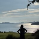 파인골프 | 가을골프 파인비치CC 날씨, 라운드 후기와 명품 금잔디의 샷감