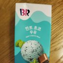 민트초코(Mint choco) 티스토리