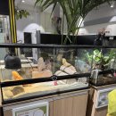 (중학생~성인)색소폰교실 | 국립과천과학관 방문후기 | 아이랑 가기 좋은 이유 솔직 정리 (5세)