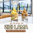 마실(언양) | 언양 애견동반 카페 라마 크로플 땅콩 옥수수 아이스크림 맛집