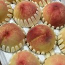 (주)시그마스튜디오 | 8월 여름 너무 더워서 다죽자 그냥