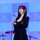 마젠타 이미지