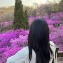 살롱드블링(Salon de Bling) | 마곡나루역미용실, 살롱드블링 볼륨매직 후기