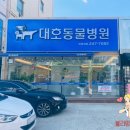 대호동물병원 이미지