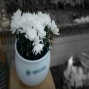 다사랑중앙병원 이미지