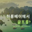 마리항공여행사 이미지