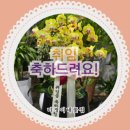 미정이네꽃집 이미지