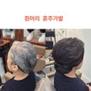 이준정보기술 | 짧은 흰머리 혼주가발 후기 비바이준이