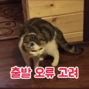 청산진성 | 『 군주론으로 보는 고려 』 - 15분정리