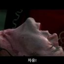 맥행정사 이미지