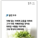 시편25 이미지