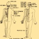 충맥경혈도-13혈-눈 이미지