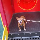 대원1리 이미지