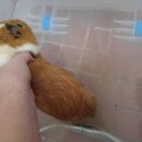 만수목욕탕