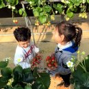 서문농장 이미지