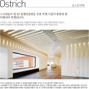 3D필드로 이미지