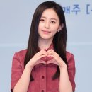 사계 이미지