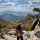 야간)사물놀이 | 25년 11월의 일상 - 1