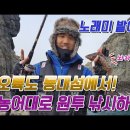 오륙도 등대 Daum카페