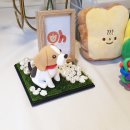 기억할개 이미지