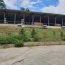 칠곡양떼목장 이미지