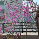 미소간병인센터 | 엄마의 미소를 되찾아주신 강서구방문요양 서비스