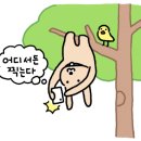 연천모터스 이미지