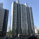드림캐슬주