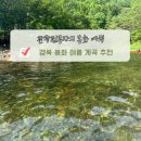또바기캠핑장 | 경북 여름 계곡 물놀이 캠핑장 추천 물 맑은 또바기캠핑장