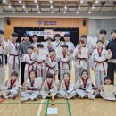 국가대표 기백 태권도 네이버블로그