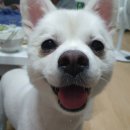 국수나무 매곡점 | 내돈내산:국수나무 매곡점 메뉴추천,포장/테이크아웃 후기