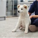 보담동물병원 이미지