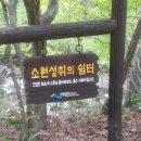 난계국악기 이미지