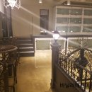 바닐라 애견샵 이미지