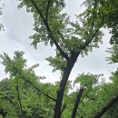 어서각御書閣 이미지