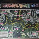 구곡초등학교 | [원주 단구근린공원 둘레숲길 후기]여성가족공원 방면 코스로 즐기는 여름밤 산책🌙