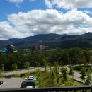 대관령 아기동물농장 이미지