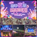 금강교옆 공원 | 공주 야밤 맥주축제 2026 8월 축제 가수 라인업 주차 둘째날 후기 대전근교 가볼만한곳