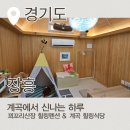꾀꼬리산장 | [아이와 갈만한 곳]양주 장흥 꾀꼬리 산장 계곡 글램핑 바베큐 여름방학 가족 힐링 나들이🌳