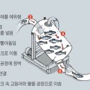 생선굼터 이미지