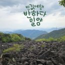 갤러리주유소 | 반하다밀양 정산 신청 | 승인 거절 후 수정하고 하루만에 정산받은 후기