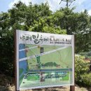 [아이와 함께하는 체험후기] 양평 밀축제｜장수풍뎅이 사육키트·동물 먹이주기 다녀왔어요!