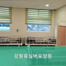강원 춘천시 요양원 강원효실버요양원 내 마음을 사로잡는 요양원
