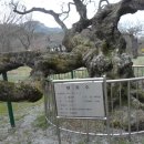 경림사