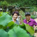 용상약국 이미지