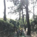 송수초교 병설유치원 이미지